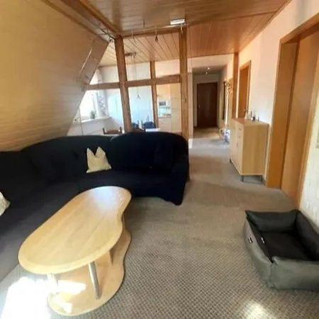 Haus Panorama - Auszeit 3 Apartment Braunlage